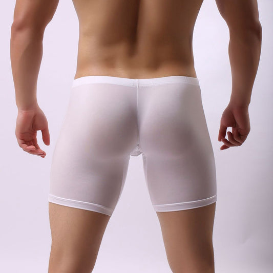 AeroFit – Lightweight Ice Silk Men’s Sports Briefs