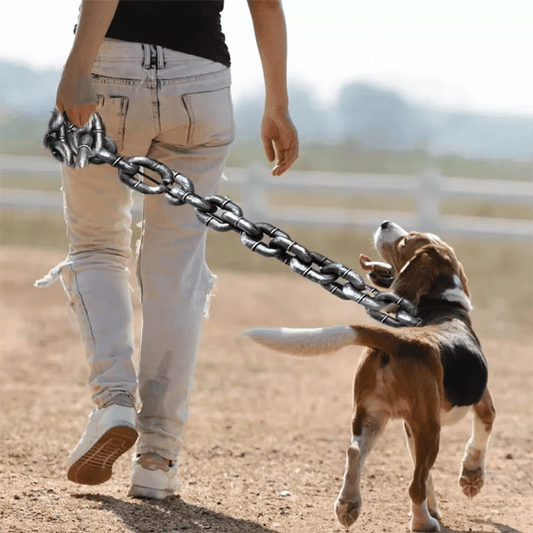 FlexChain – Life-Like Iron Chain Dog Leash for Strong Control