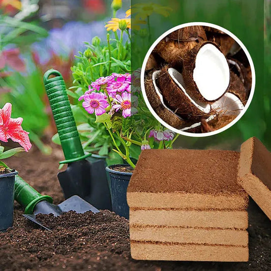 CocoBrick - Organic Coconut Coir for Plants