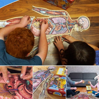 BodyQuest – Kids Human Anatomy Puzzle
