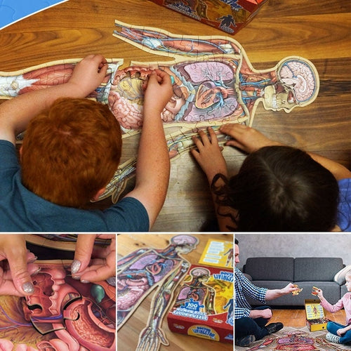 BodyQuest – Kids Human Anatomy Puzzle