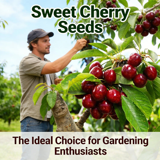 CherryGrow – High Germination Rate Cherry Seeds (99% Germination)